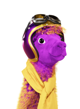 home.safety.images.racingLama